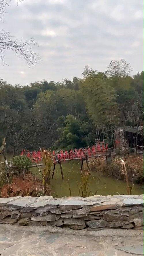 花溪新闻爆料网最新,揭秘最新热点事件，追踪社会动态