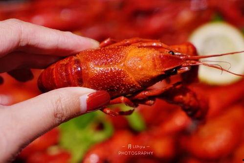 厦门龙虾爆料事件视频曝光,揭露海鲜市场惊人内幕 第2张 厦门龙虾爆料事件视频曝光,揭露海鲜市场惊人内幕 第2张